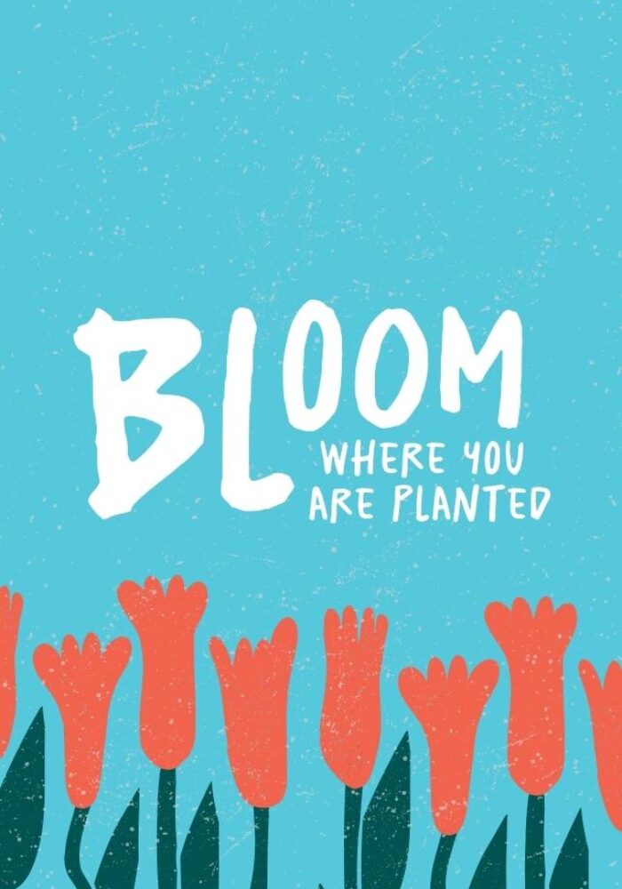 Bloom 1