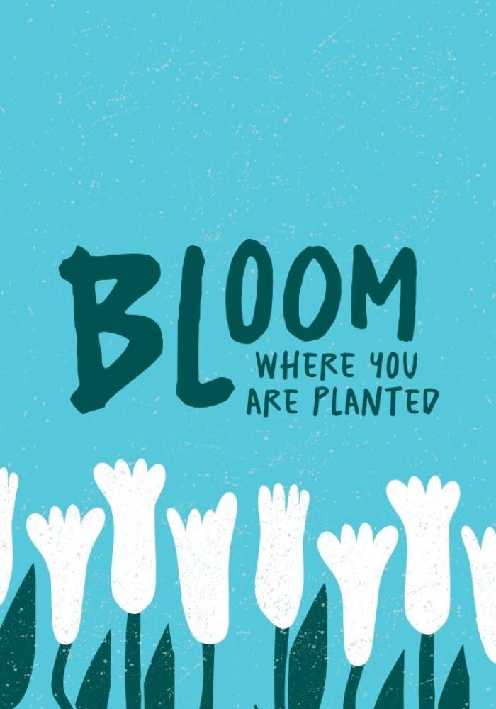 Bloom 2