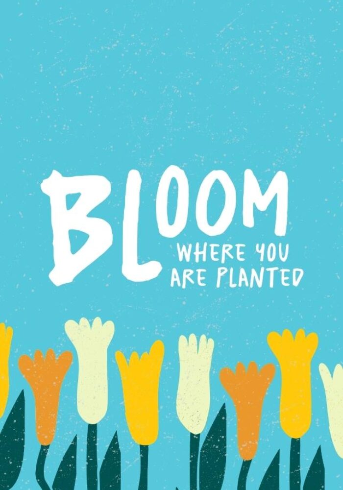 Bloom 3